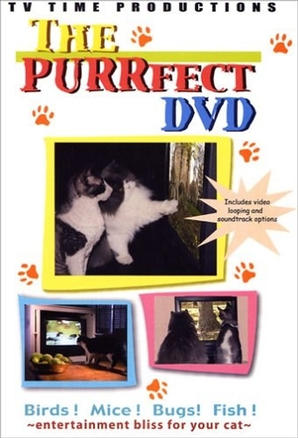 11. Kedi eğlence dvd'si.