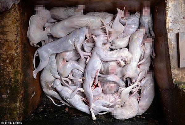 Yapılan gizli bir operasyon sonucunda yerel esnafın ifadesine göre deponun sahibi Huang Fuping, kedileri tavşan eti diye kilosunu 20 yen karşılığı restoranlara satıyordu.