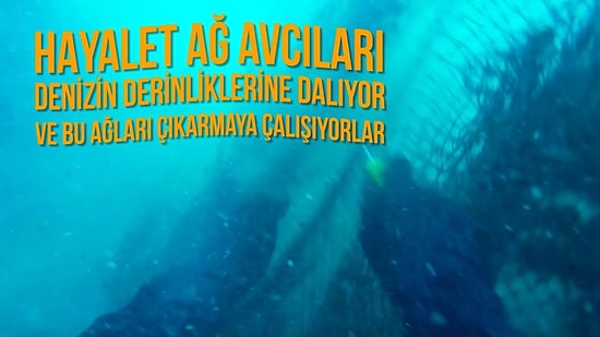 Hayalet Ağ Avcıları Sayesinde Denizlerimiz Yeniden Canlanıyor!