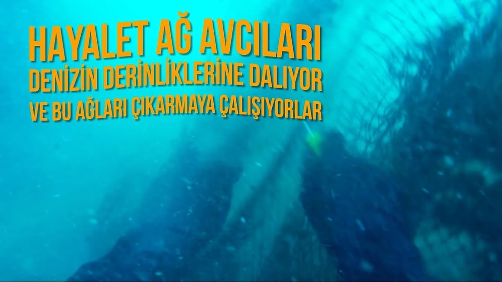 Hayalet Ağ Avcıları Sayesinde Denizlerimiz Yeniden Canlanıyor!
