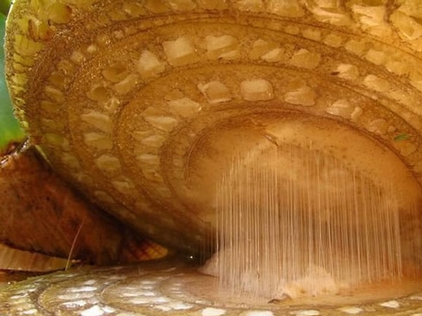 8. Хм, дайте-ка подумать...