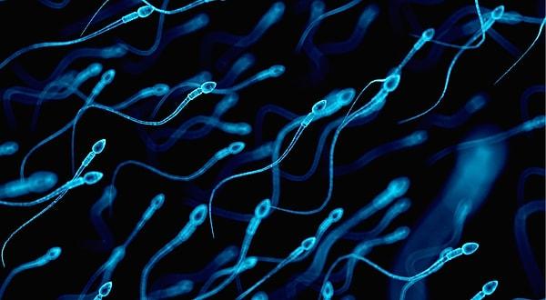 7. Kısırlığa çare olacak: Fare embriyosundan alınan kök hücreyle sperm üretildi