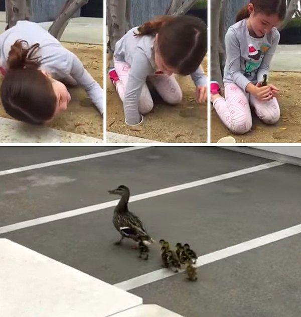 16. Su borusundan sekiz ördek yavrusu kurtaran 6 yaşındaki kız.
