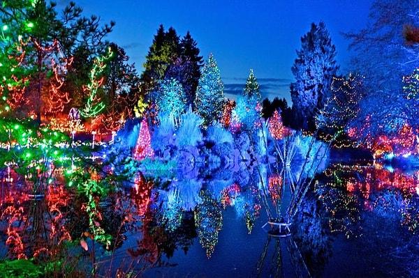 6. VanDusen Botanik Bahçesi, Işık Festivali, Vancouver, British Columbia