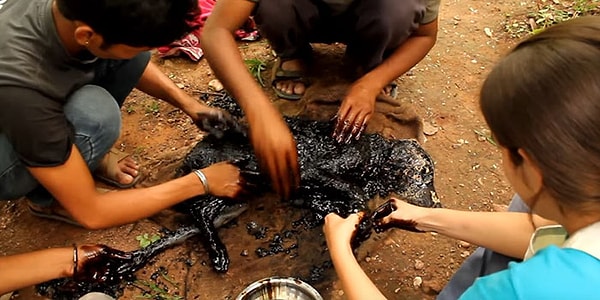 Köpeği gören gönüllüler kısa süreli şok geçirdikten sonra hemen çözüm yolu bulmak için çalışmalara başladı.