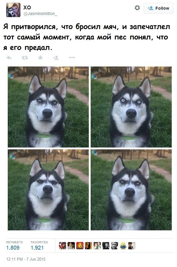 6. "Думаешь, ты такой умный, да, человек?"