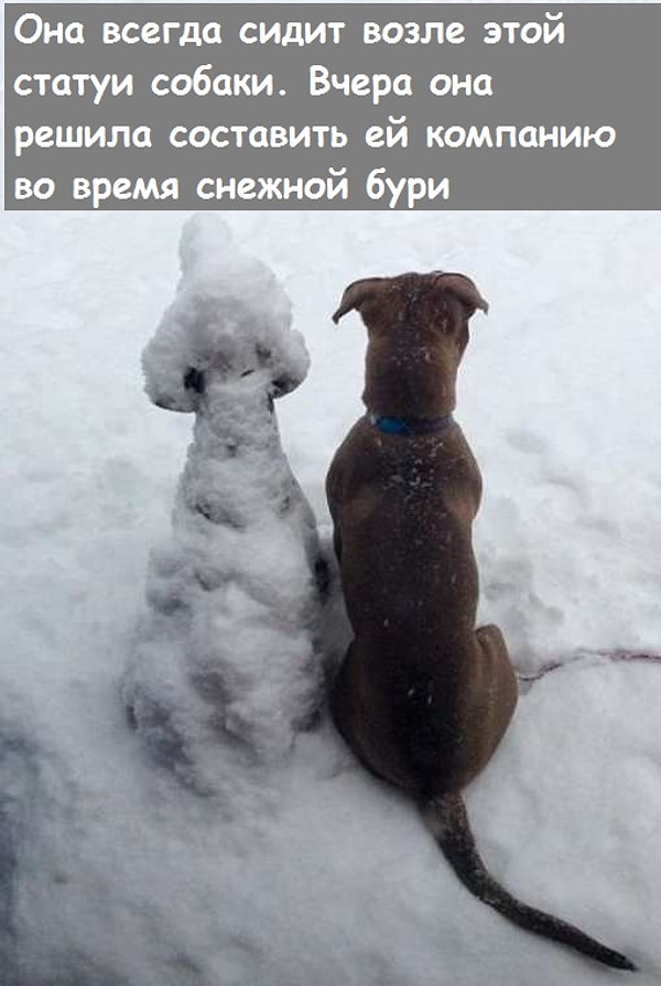 13. Друзья навечно... ну, или, по крайней мере, до весны