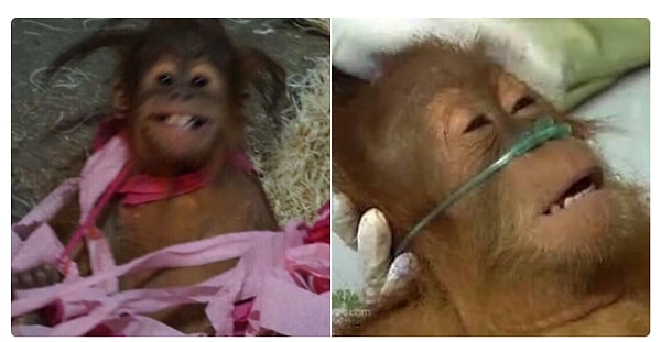 16. Я прикалываюсь над ним Vs. Он прикалывается надо мной