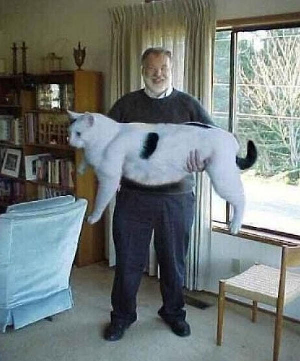 9. Вот это размерчик!