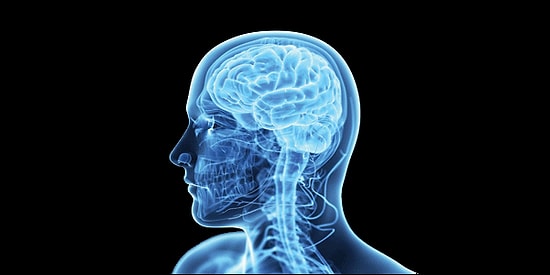 Beğenilerine Göre Beyninin Hangi Tarafını Daha Çok Kullanıyorsun?