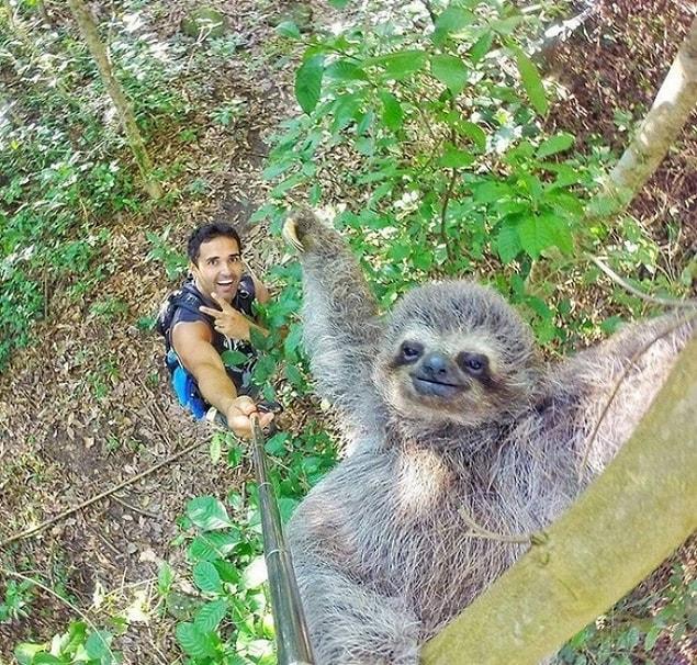 21. This must be what the selfie stick was invented for: to take a photo of yourself with a sloth!