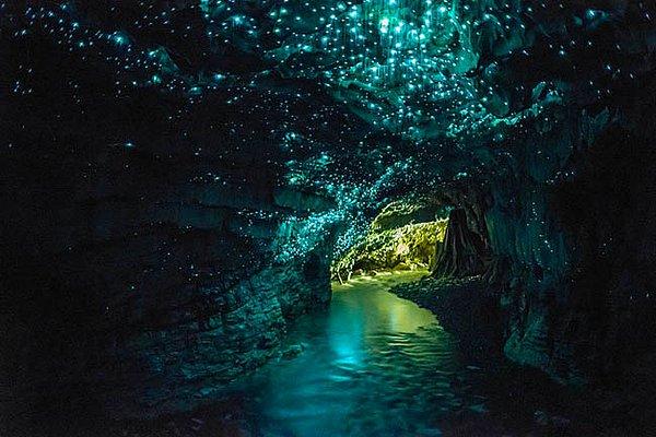 22. Waitomo Mağaraları, Yeni Zelanda