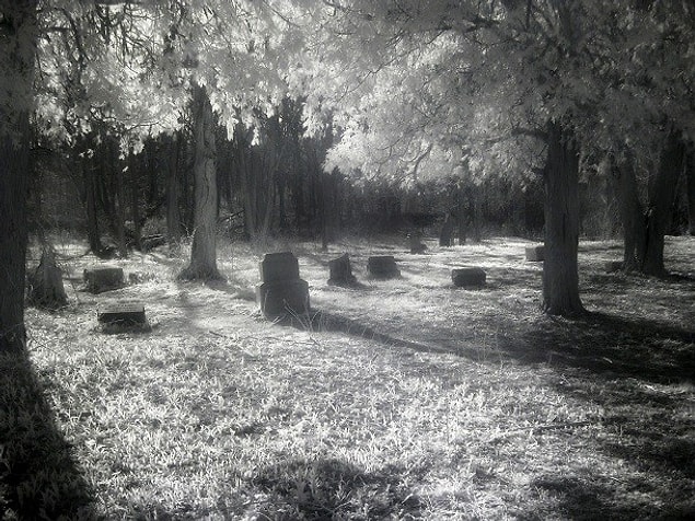 20. Bachelor's Grove Cemetery – Chicago