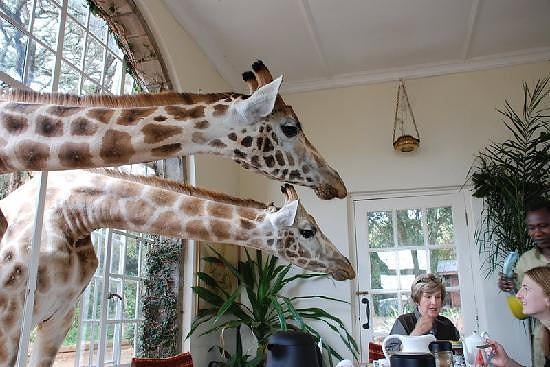 10 самых необычных услуг в отелях