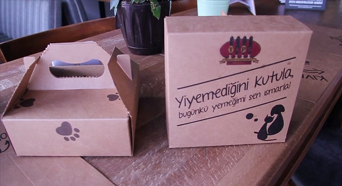 Hayvan Dostlarımız İçin Anlamlı Proje: Bi’ Kutu Dostluk