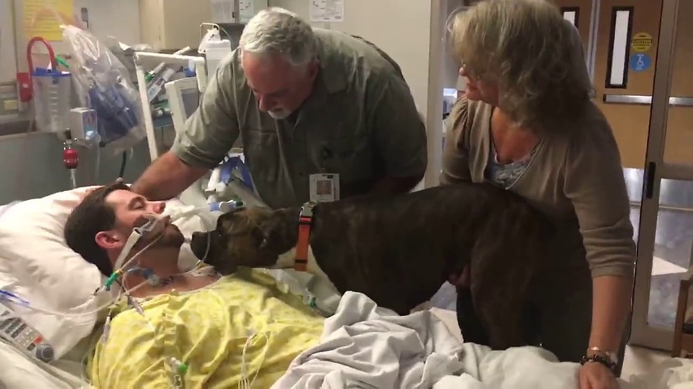 Köpekten Dostuna Yürek Burkan Veda