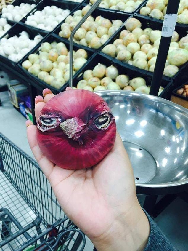 22. Undercover onion in the Angry Birds gang.