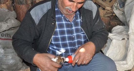 Köpek Yavrularını Soğuktan Kurtaran Gaziantepli Dayının Mutluluğu