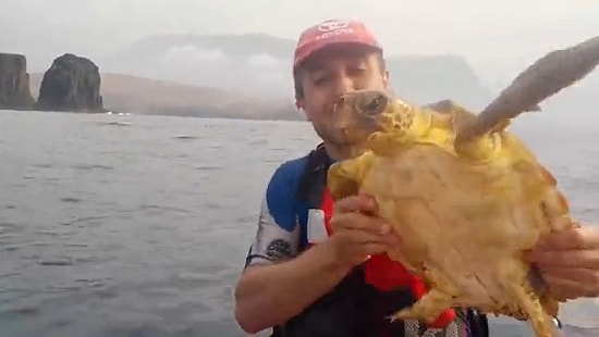 Ağa Takılan Deniz Kaplumbağasını Kurtaran Güzel İnsan