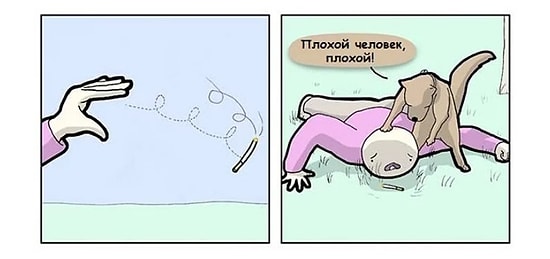 10 упоротых, но ужасно смешных комиксов о темной стороне животных