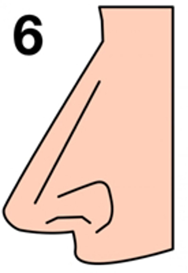 Прямой гладкий нос