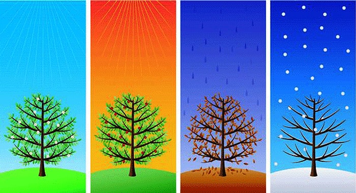 Senin Ruhun Hangi Mevsime Ait ?