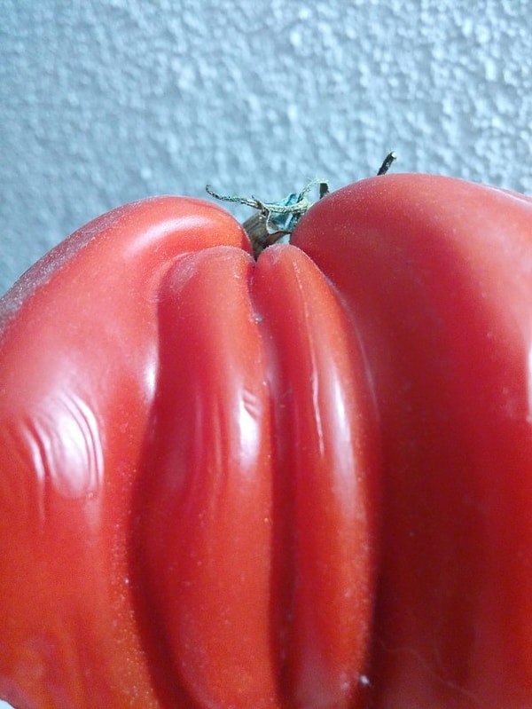 10. All I see is a nice, ripe tomato.