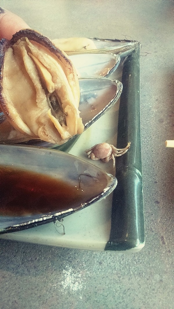 20. IT’S JUST A MUSSEL WITH A SIDE OF CRAB, YOU GUYS.