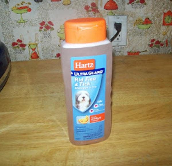 19. Köpek şampuanına biraz su katıp seyrelterek tasarruf edebilirsiniz, etkenliğinden pek bir şey kaybetmez hem de kolay uygulanır.