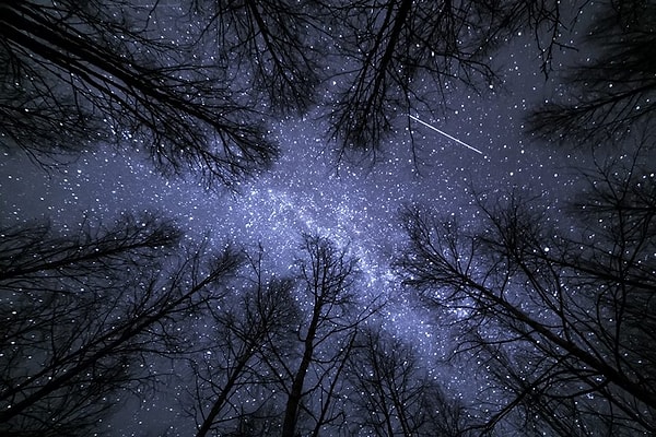 25. Если лечь на землю и посмотреть вверх, можно увидеть падающую звезду и загадать желание...