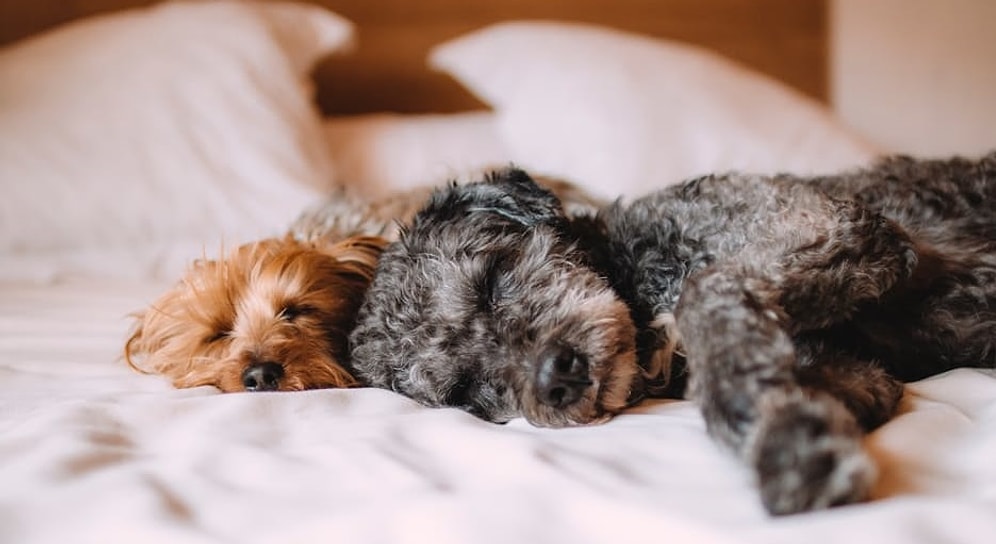 18 простых способов сделать свою постель самым уютным местом на земле