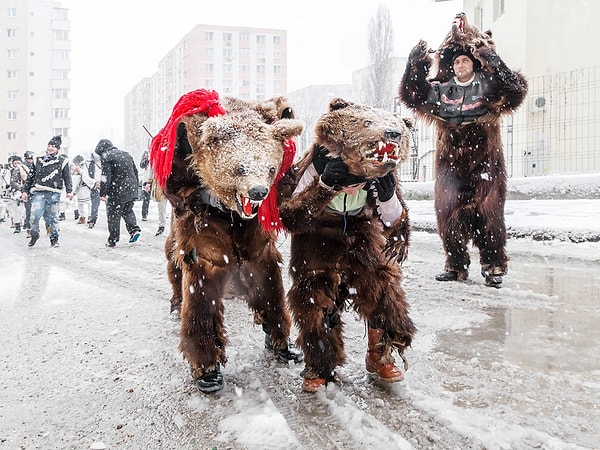 14. Танец медведей в Румынии на фестивале Урсул
