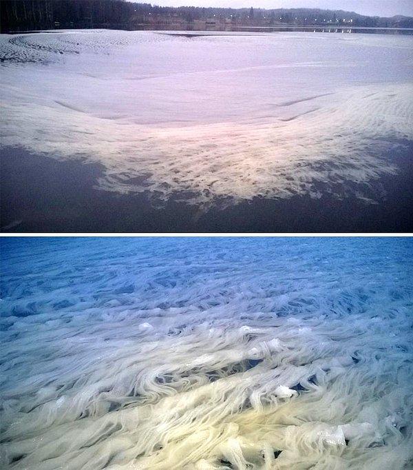 4. Finlandiya'da bulunan göllerden birinden "spagetti" şeklinde karlar