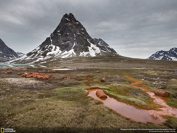 17. Специальное упоминание жюри, категория «Проблемы окружающей среды»: Американские цветы. Гренландия.