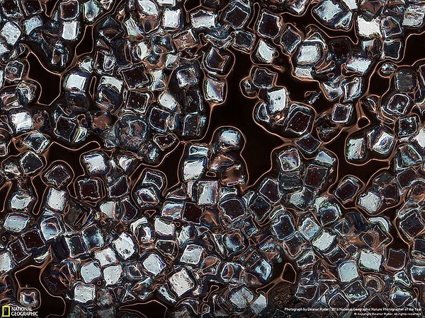 18. Третье место, категория «Проблемы окружающей среды»: Токсичное тщеславие. Великобритания.