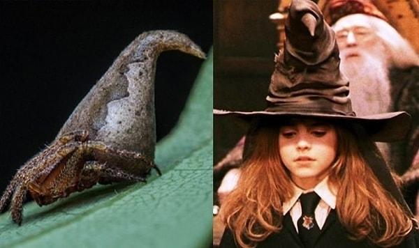 Harry Potter hayranları benzerliği hemen göreceklerdir.