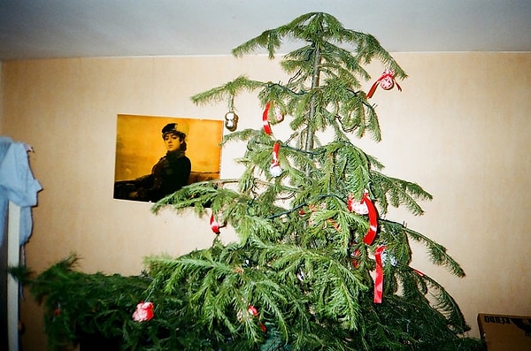 6. Даже картина презрительно смотрит на эту елку