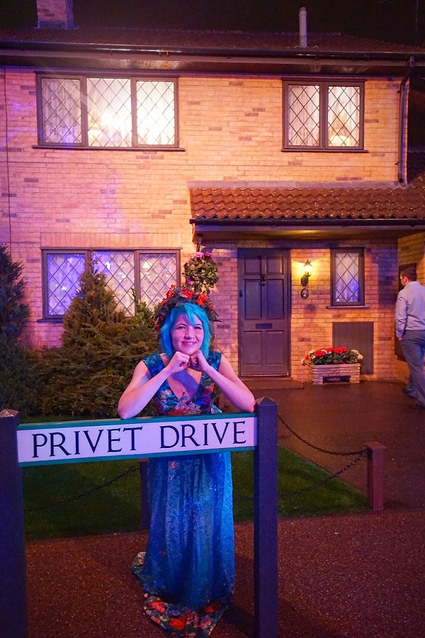 17. Дом Дурслей