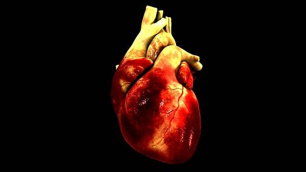13. Pembe köpüklü bir balgam çıkarıyorsanız, kalp rahatsızlığınız olabilir.