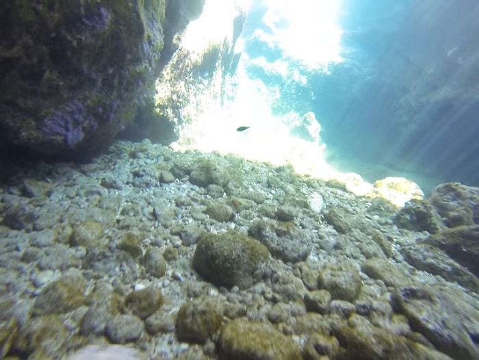 İzlemesi Aşırı Zevkli Şeylerde Bugün: Muhteşem Su Altı Güzelliği