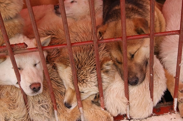 6. Полностью этот процесс завершится к началу мая 2017-го года