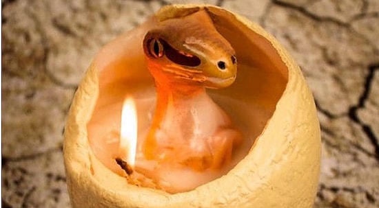 16 замечательных вещиц, которые изменят вашу жизнь к лучшему