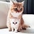 catismylove