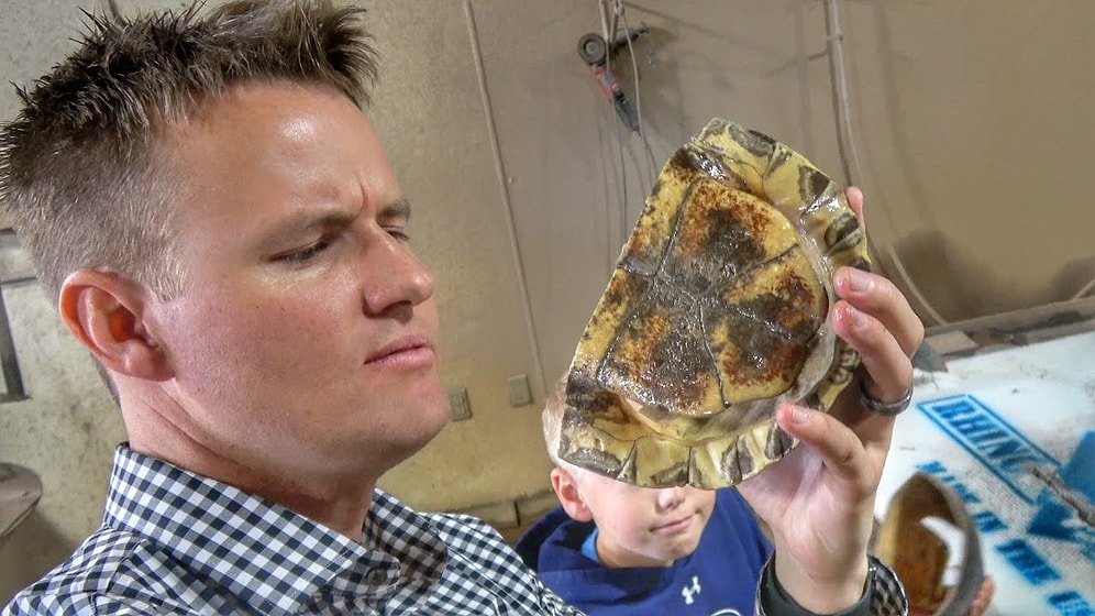 Kaplumbağa Kabuğunun İçinde Ne Var?