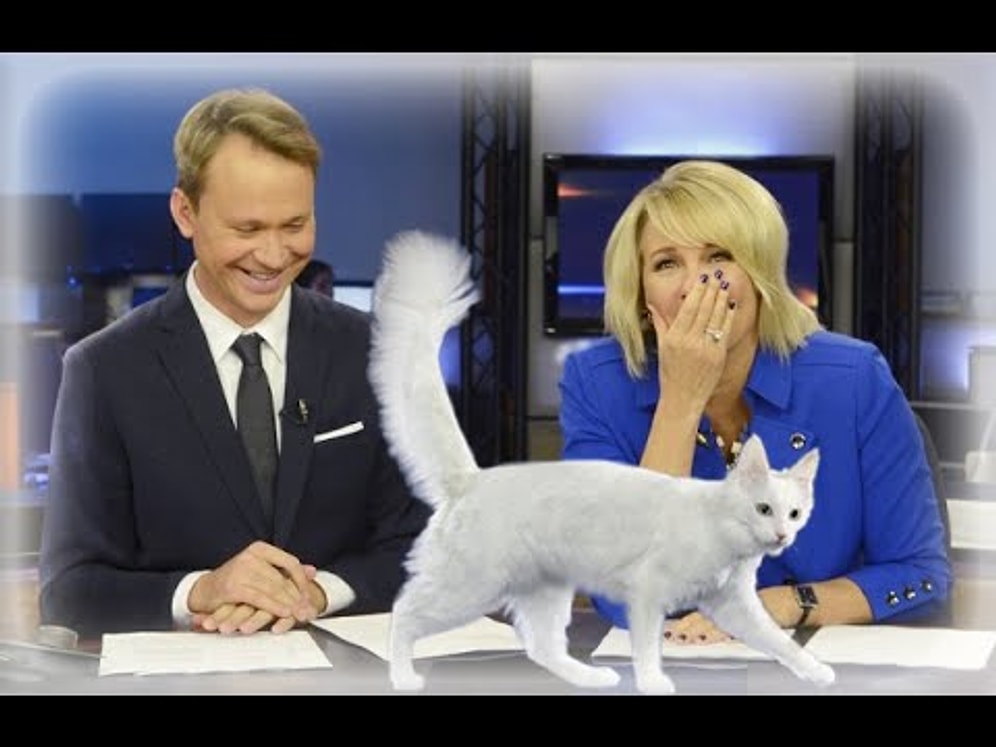 Убойные ляпы и приколы в прямом эфире на ТВ в 2016 году)