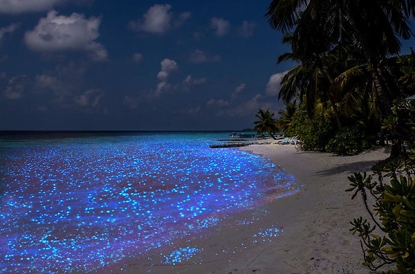 2. Светящейся планктон на строве Ваадху, Мальдивы