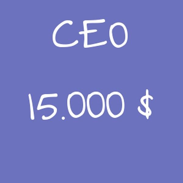 CEO - 15.000$!