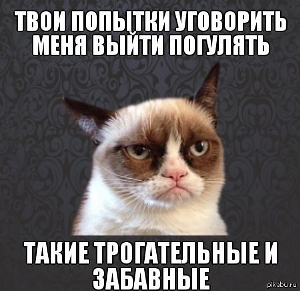 5. И вообще, кажется, что из-за своего нежелания выходить из дома, ты скоро превратишься в настоящего отшельника...