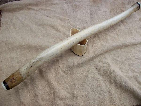 Örneğin bir beyzbol sopasını andıran bu 60 santimetre uzunluğundaki baculum, bir morsa ait.