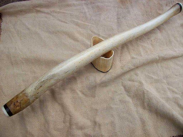 Örneğin bir beyzbol sopasını andıran bu 60 santimetre uzunluğundaki baculum, bir morsa ait.